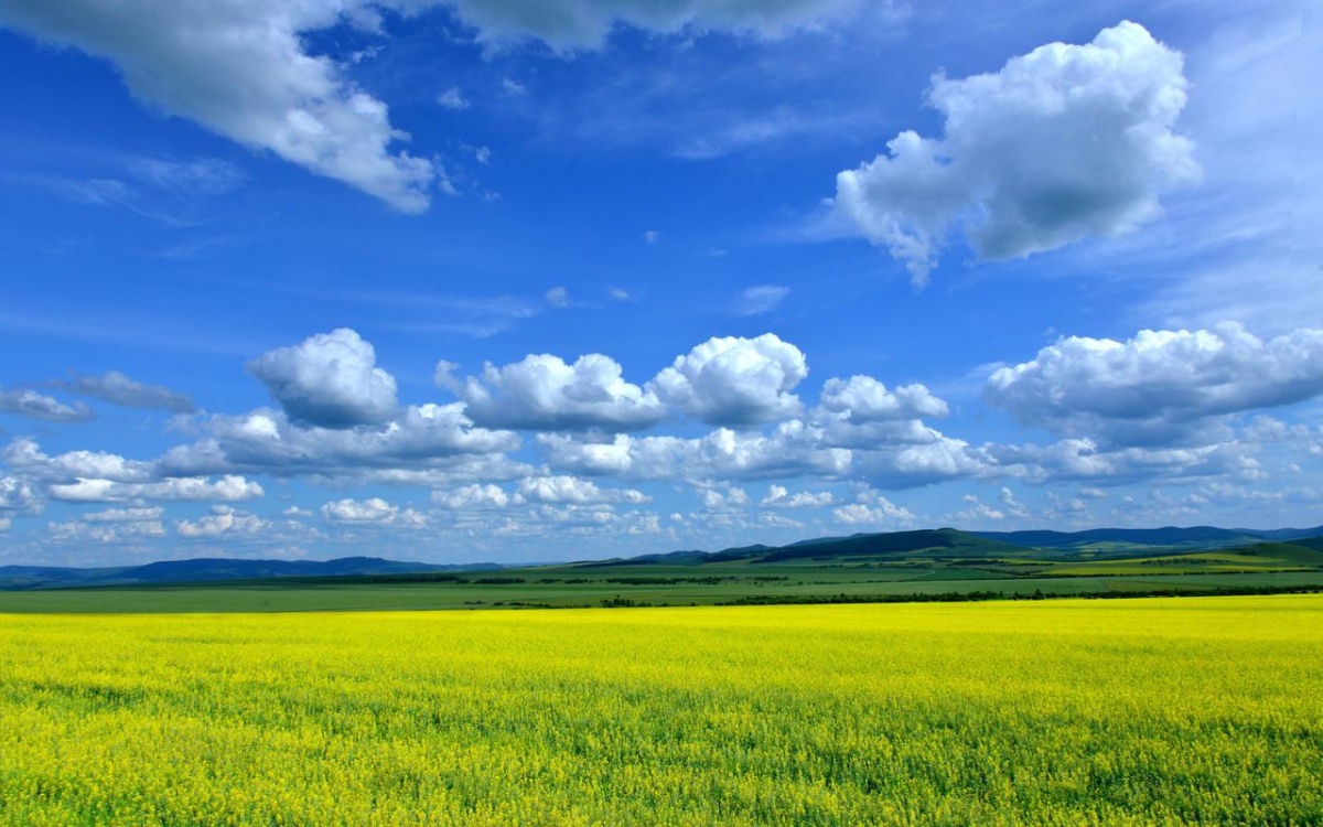 Inner Mongolia