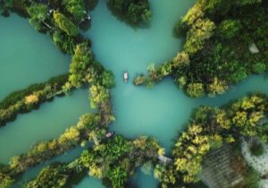 Xixi Wetlands