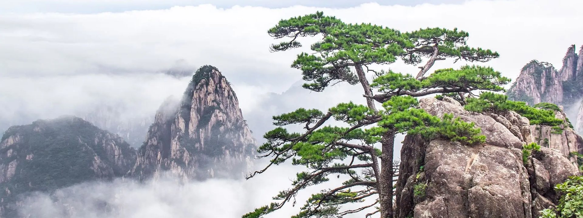 China Mount Huangshan Tours DMC
