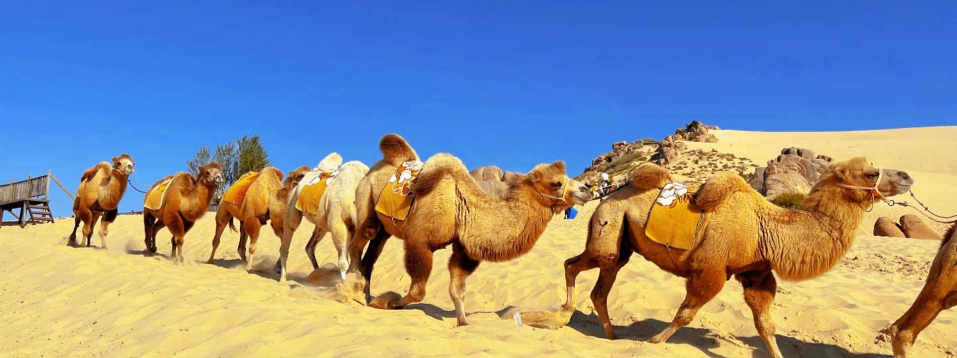 China Silk road tours B2B DMC
