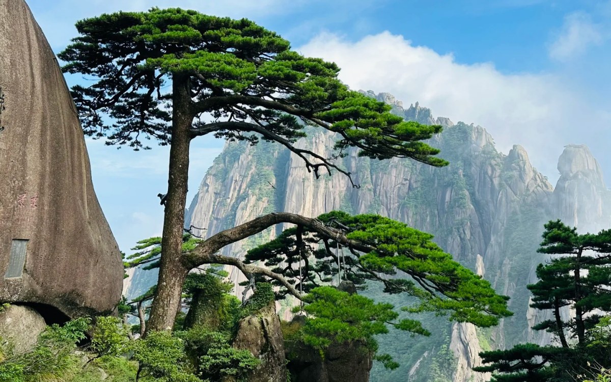 Huangshan Tour