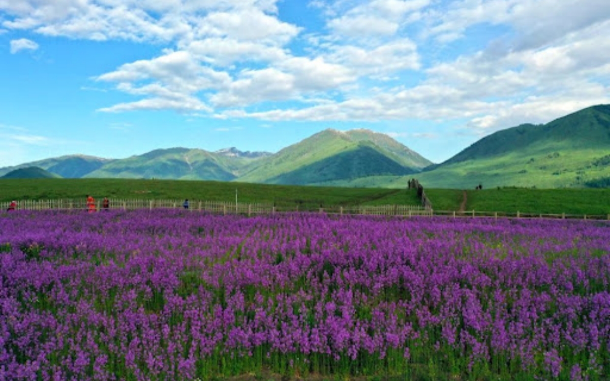 Scenery of Hemu Village